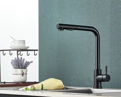 Robinet de Cuisine avec Douchette Flexible, 2 Modes, Mitigeur Eau Chaude & Froide en Acier Inoxydable